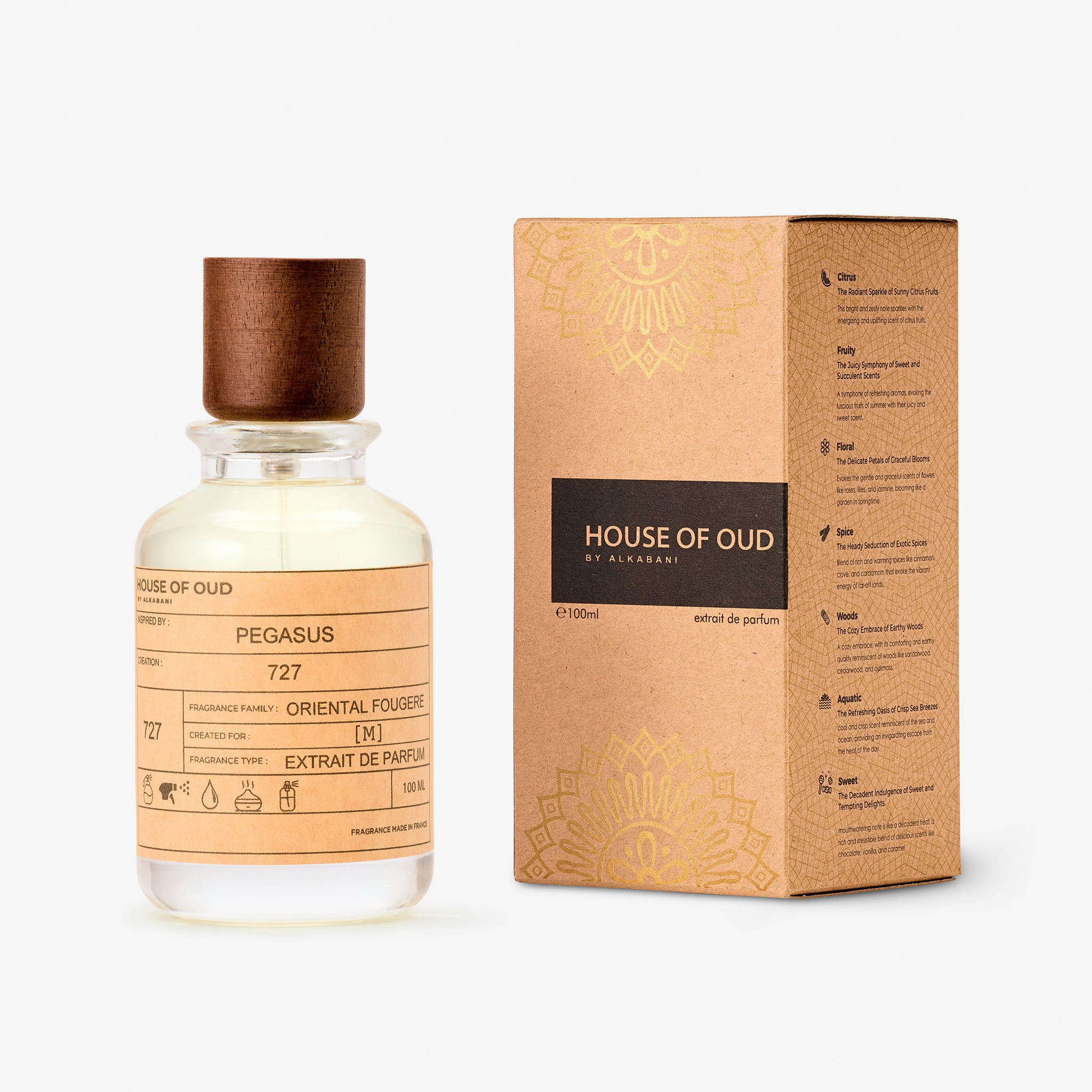 727 - Inspired by PEGASUS