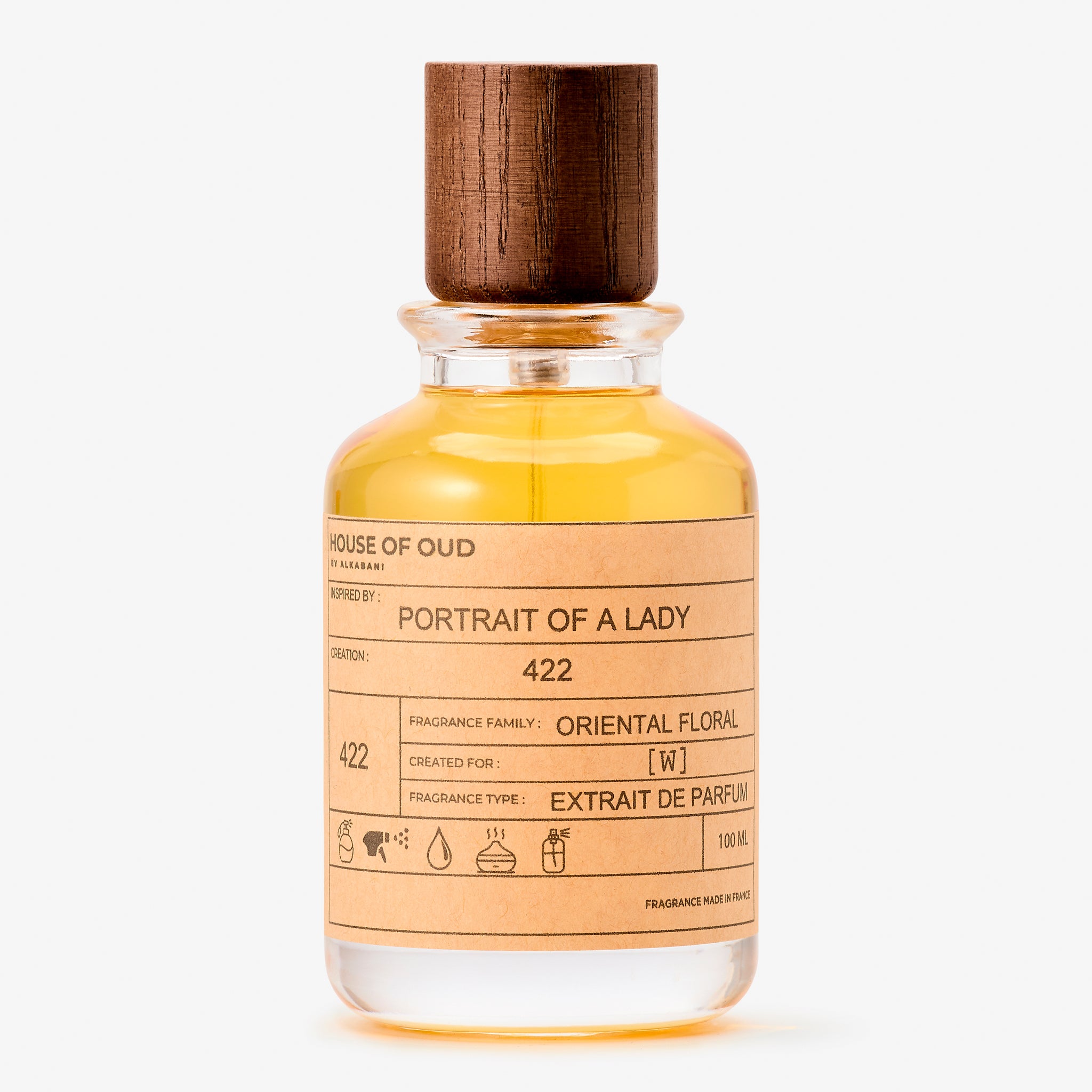 422 - Inspired by Portrait of a Lady